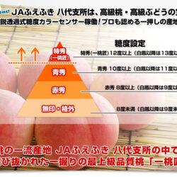 Ittoushou Grade Peach