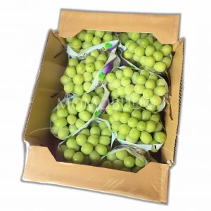 Yamanashi Shine Muscat 5kg Box