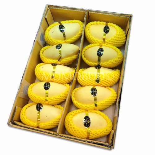 Golden Bell Honey Mango Box