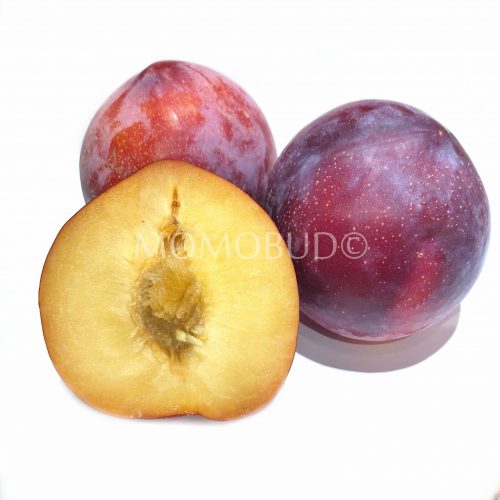 Red Gold Plum