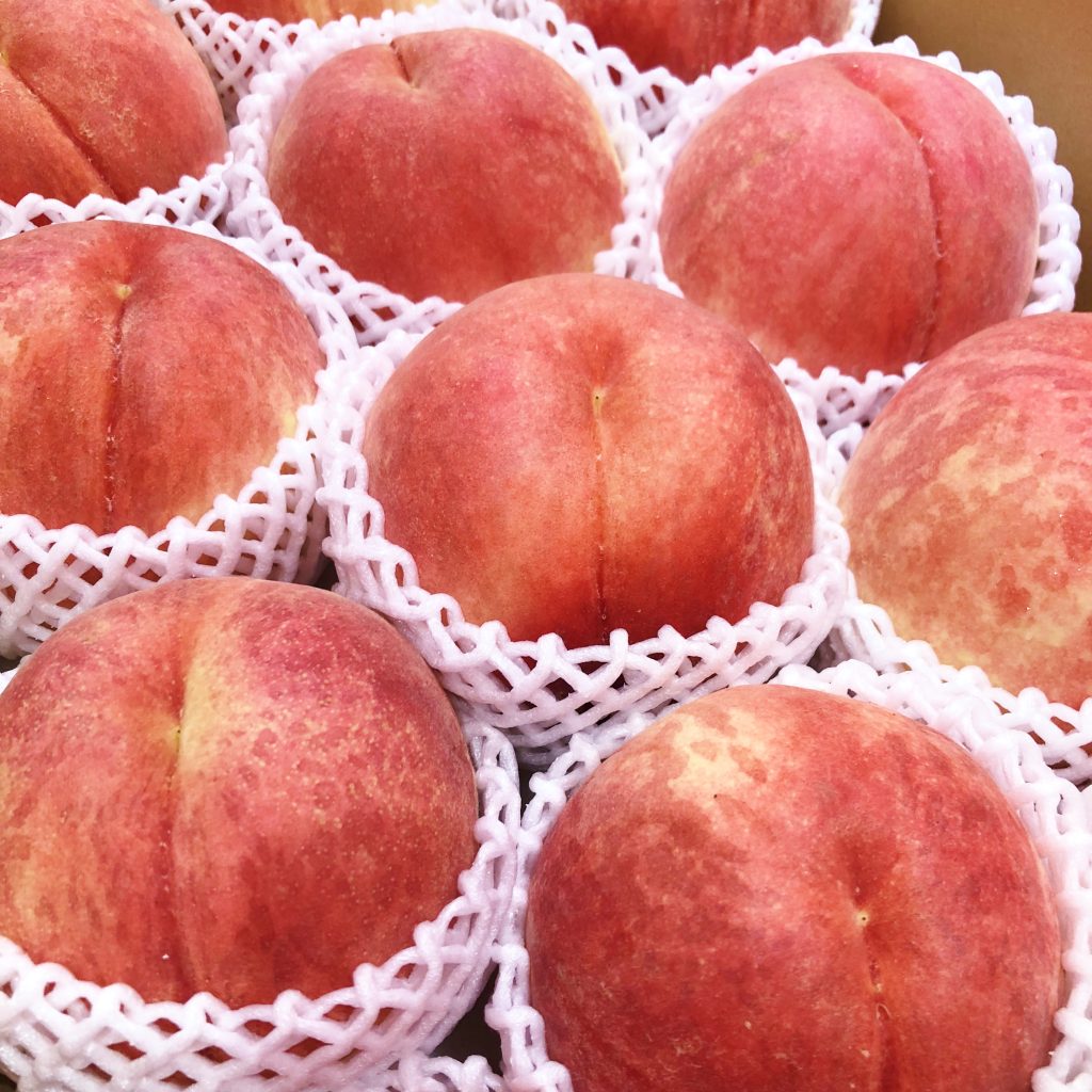 Japanese Sachiakane White Peach (Jumbo) — MomoBud