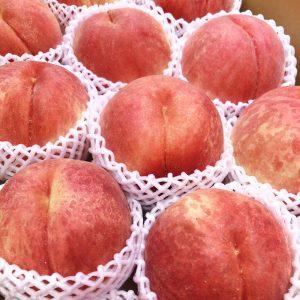 Japanese Sachiakane White Peach (Large)