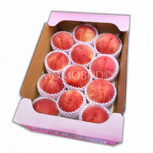 Sachiakane White Peach Box 5kg (Shu Grade)