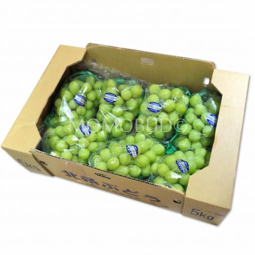 Tottori Shine Muscat Grapes Box 5kg