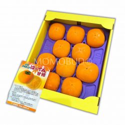 Batten Amagaki Persimmon Gift Box 3kg