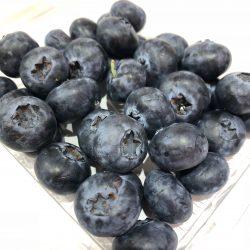 Fresh Coastal Blueberry
