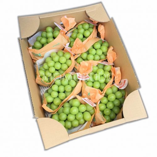 Nagano Shine Muscat Box 5kg