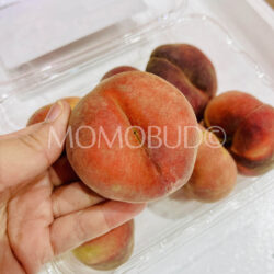 Japanese Crown Koala White Donut Peach Japanese Crown Koala White Donut Peach