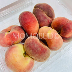 Japanese Crown Koala White Donut Peaches Japanese Crown Koala White Donut Peaches