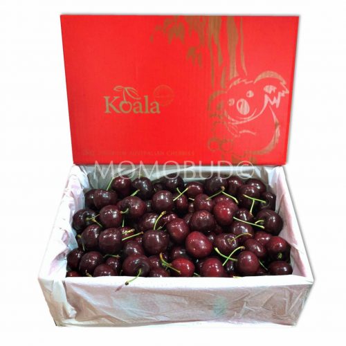 Koala Lapin Red Cherry 2kg Gift Box