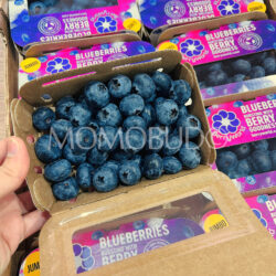 South African Berryworld Jumbo Blueberries South African Berryworld Jumbo Blueberries