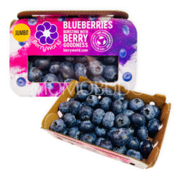 South African Berryworld Jumbo Blueberry (150g box)