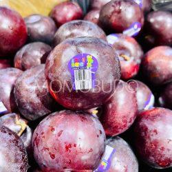 Croc Egg® Black Ruby Plums