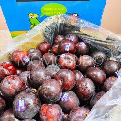 Croc Egg® Black Ruby Plums