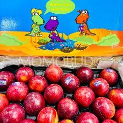 Croc Egg® Red Autumn Plums