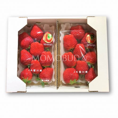 Japanese Nyoho Strawberry Tray
