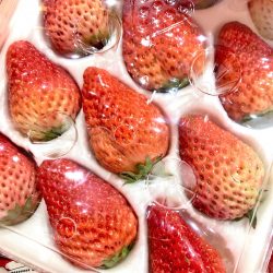 China Iyomoo Strawberry