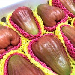 Taiwan Black Pearl Jambu Gift Set 2kg Taiwan Black Pearl Jambu Gift Set 2kg