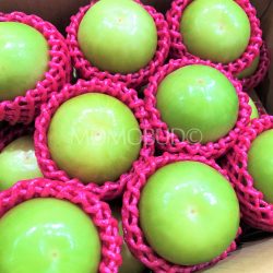 Taiwan Jujube Taiwan Jujube