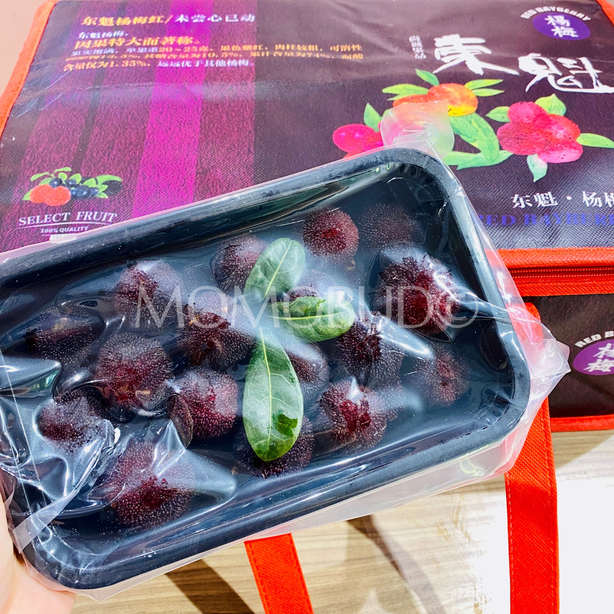 Premium Dong Kui Chinese Red Bayberry — MomoBud