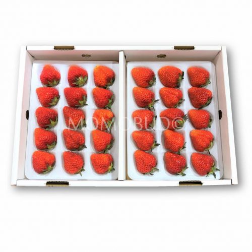 Echigohime Strawberry 450gx2