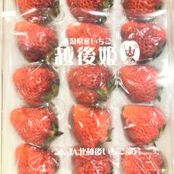 Echigohime Strawberry Pack