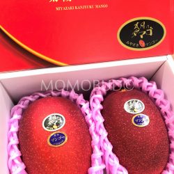 Miyazaki Mango (Taiyo no Tamago) Gift Box 1kg closeup