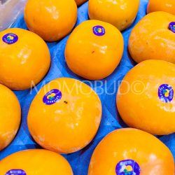 New Zealand Holyoak Fuyu Persimmons 1