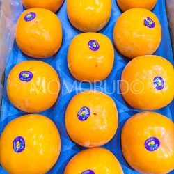 New Zealand Holyoak Fuyu Persimmons