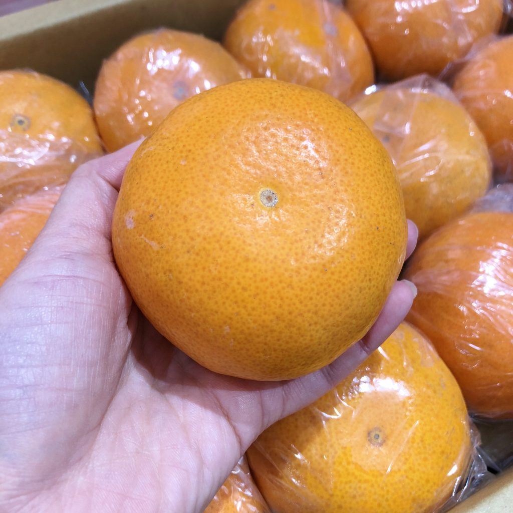 Taiwan Honey Murcott Mandarin Orange — MomoBud