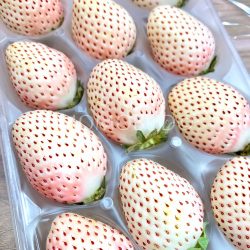 Shizuoka Pearl White Strawberry