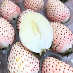 Shizuoka Pearl White Strawberry