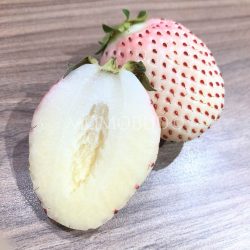 Shizuoka Pearl White Strawberry