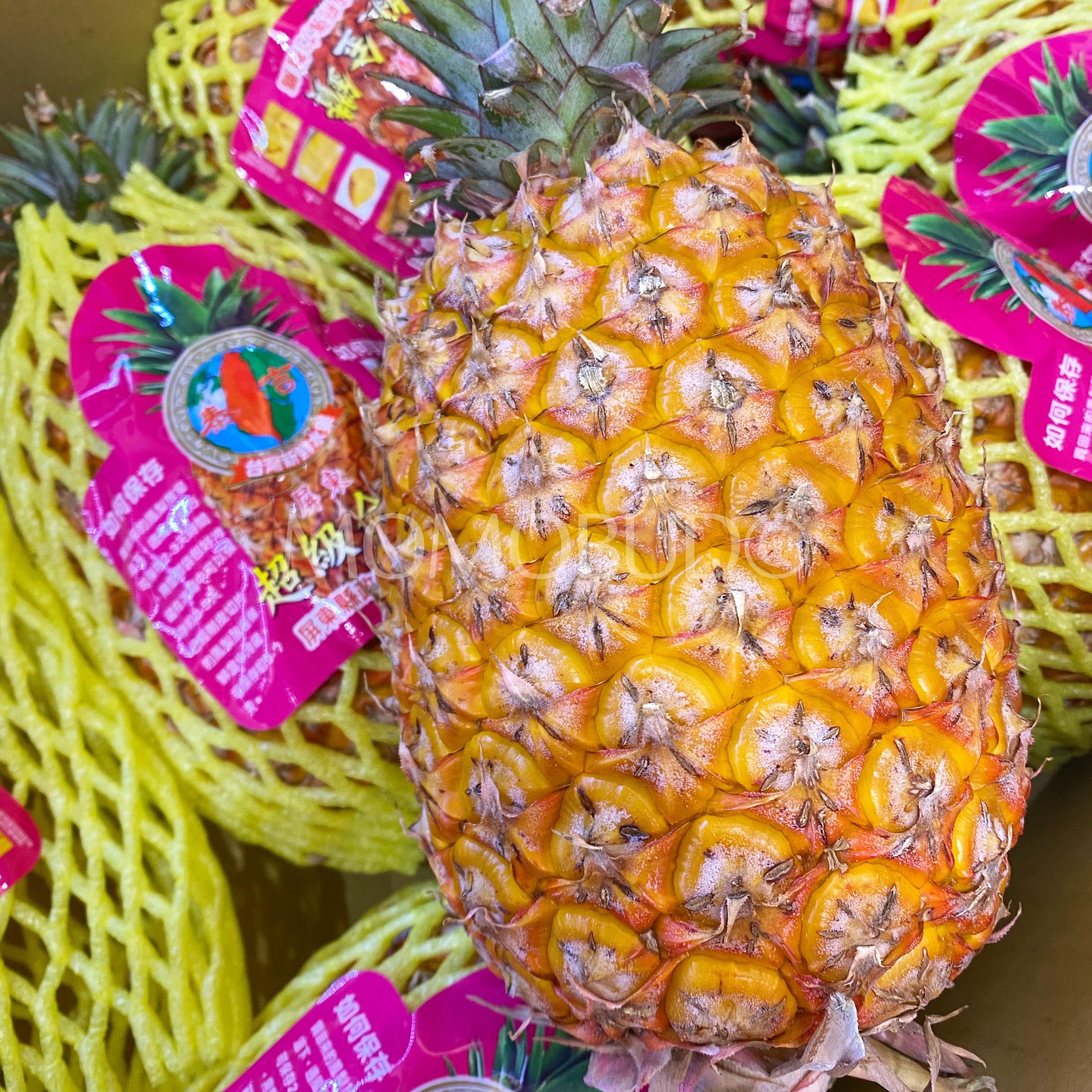 Taiwan Golden Diamond Pineapple — Momobud