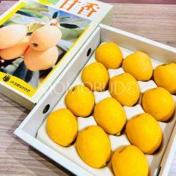 Japanese Jumbo Amaka Loquat Gift Box 1kg