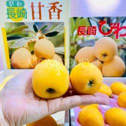 Japanese Jumbo Amaka vs Nagasaki Loquat size