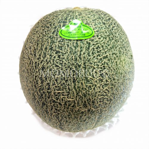 Japanese Takami Muskmelon