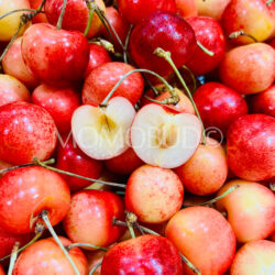 Canadian Rainier Cherry cross section