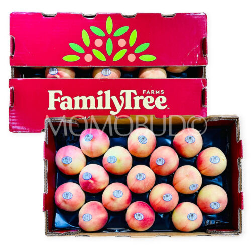 Family Tree Farms® Premium Pink Princess White Peach Box