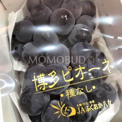 Hakata Pione Seedless Grapes