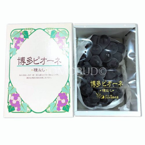 Hakata Pione Seedless Grapes Gift Box 900g