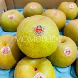 Japanese Saga Kousui Pear