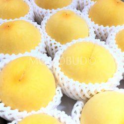 Japanese Tsukiakari Ougontou (Yellow) Peach