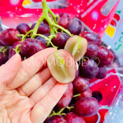 Sparkle™ Red Seedless Grapes cross section Sparkle™ Red Seedless Grapes cross section