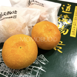 Japanese Dojo Monogatari Mikan