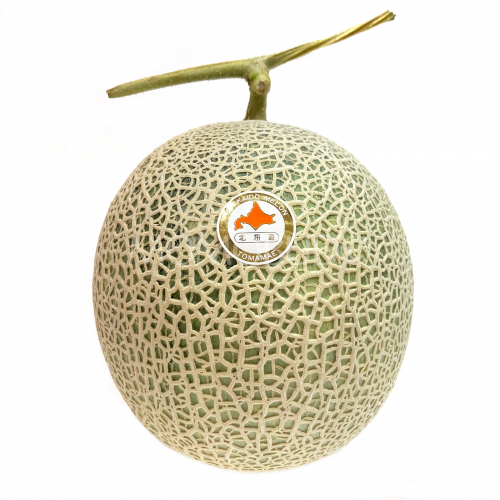 Muskmel Japanese Tomamae King 7 Muskmelon — MomoBud