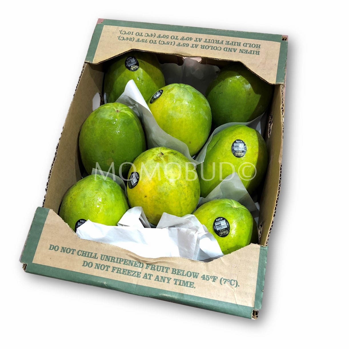 Hawaiian Kraft Papaya — MomoBud