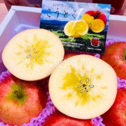 Japanese Premium Koutoku Honey Apple cross section sq