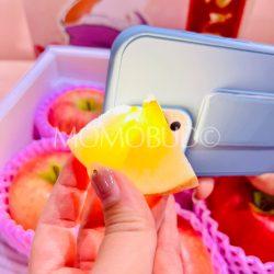Japanese Premium Koutoku Honey Apple slice light through sq