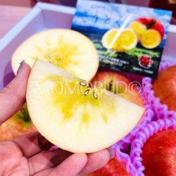 Japanese Premium Koutoku Honey Apple slice sq
